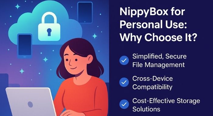 NippyBox for Personal Use: Why Choose It?